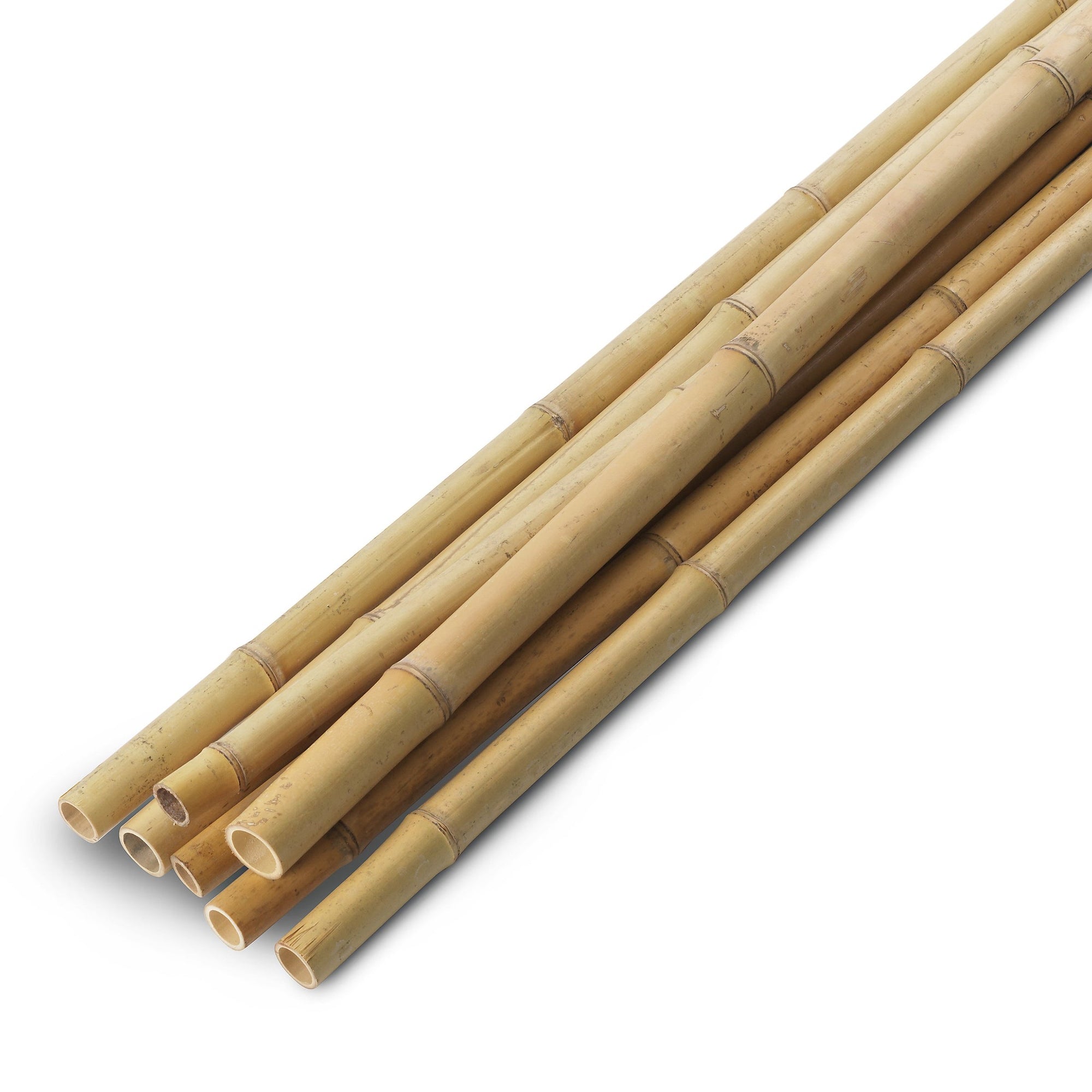 Bamboo Poles - Schach