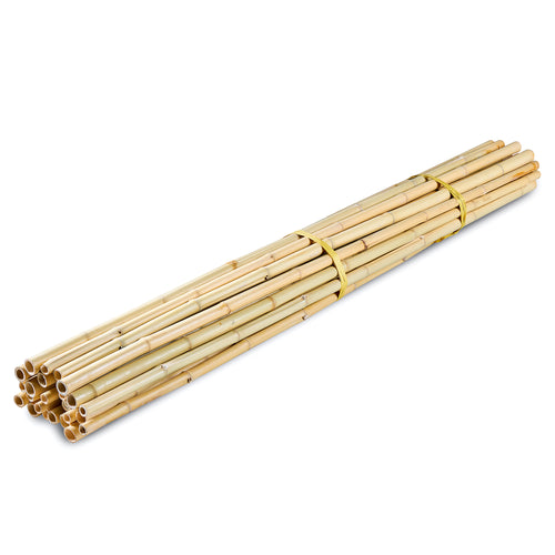 Bamboo Poles - Schach