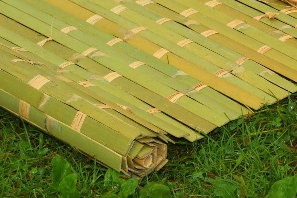 bamboo mat for living room