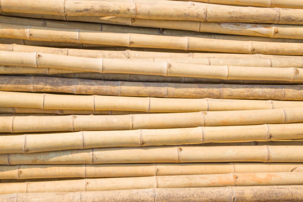 bamboo Poles